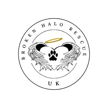 brokenhalorescue.co.uk