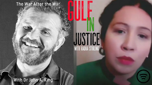 radha stirling ceo detained in dubai, dr john a king