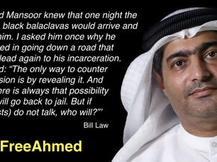 Frightening precedent for UAE population - Lawyer imprisoned for 10 years