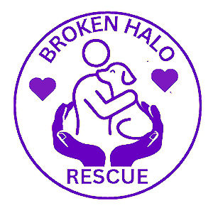 https://www.brokenhalorescue.co.uk/