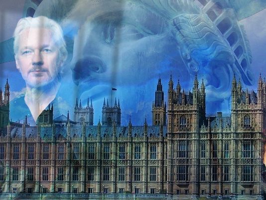 Assange: NGO calls for extradition treaty review