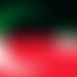 UAE-Turkey Bilateral Agreements Raise Concerns Over Human Rights