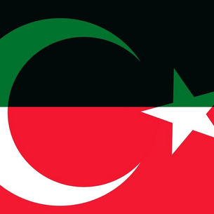 UAE-Turkey Bilateral Agreements Raise Concerns Over Human Rights