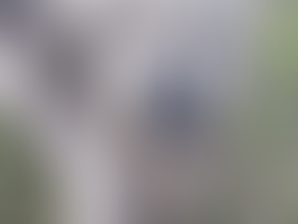 Bluebelle, broken halo rescue uk