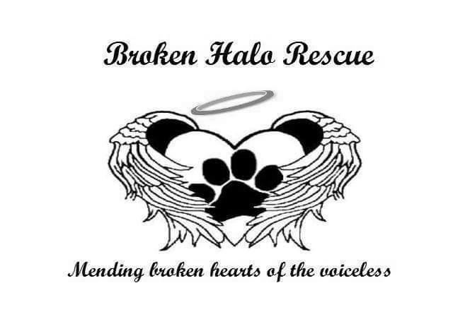 https://www.brokenhalorescue.co.uk/