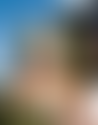 Sultan Ahmed bin Sulayem, Radha Stirling CEO Detained in Dubai