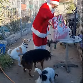 Christmas Day 2024