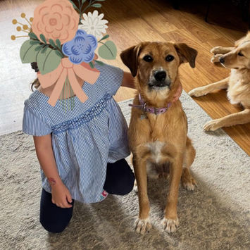 brokenhalorescue.co.uk