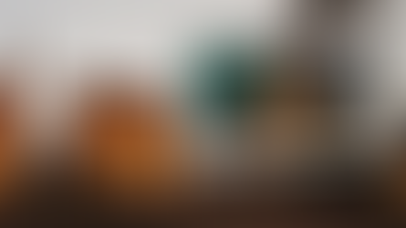 Mother calls on Ireland to issue Interpol Red Notice to recover kidnapped children from Egypt