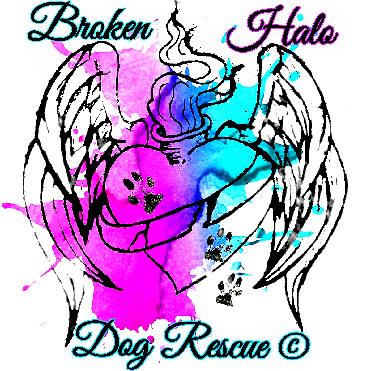 brokenhalorescue.co.uk