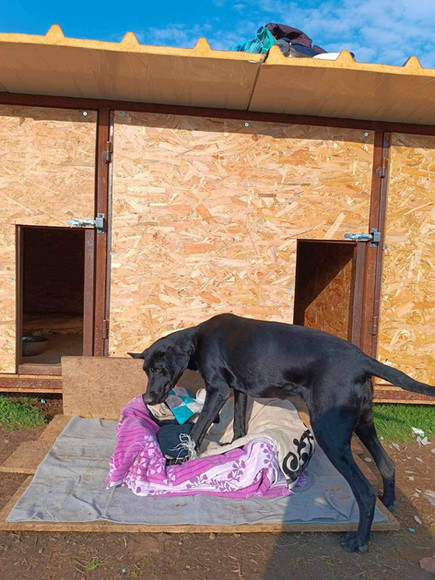 brokenhalorescue.co.uk