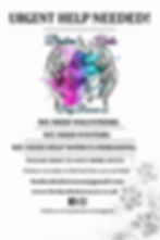 fundraising poster.jpg