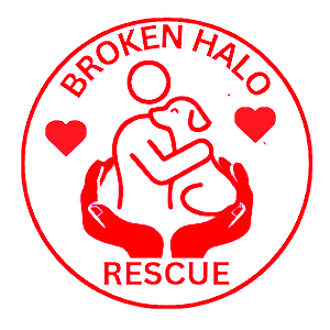 brokenhalorescue.co.uk