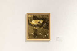 Everyday is Beautiful