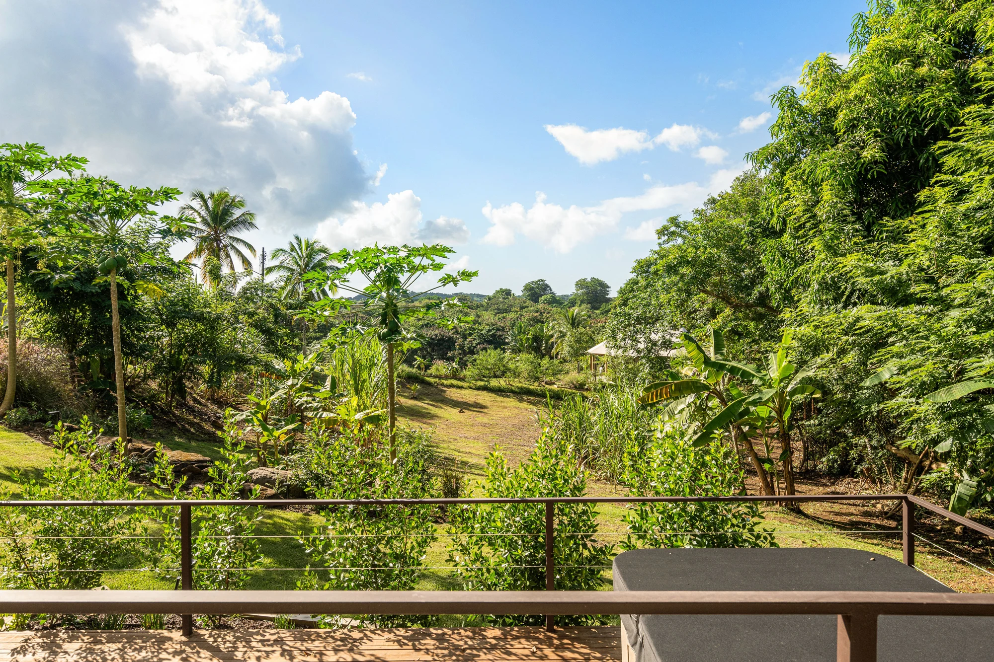 Plan Your Visit | Little Hills