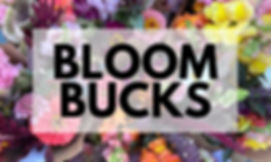 BLOOM BUCKS