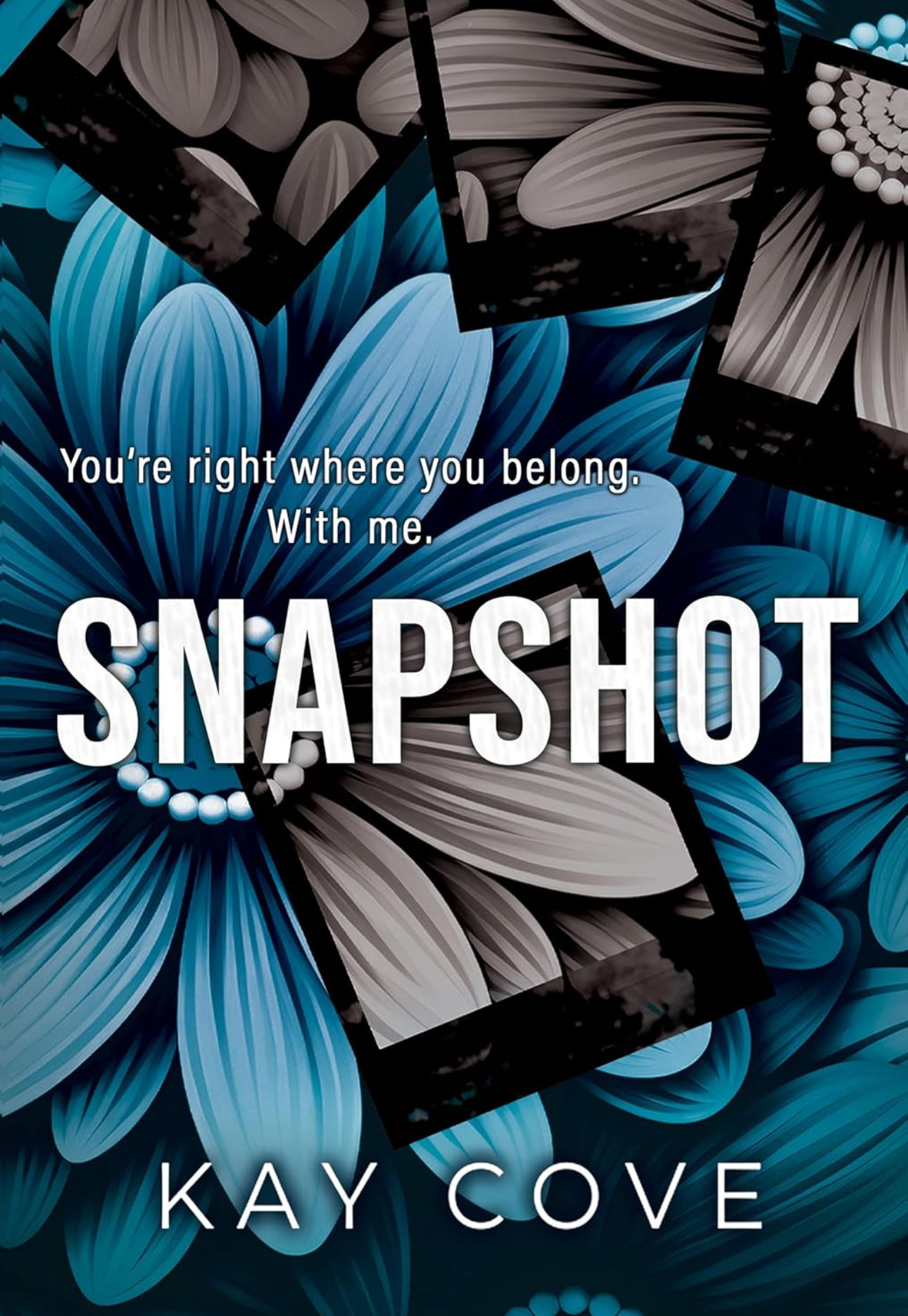 Snapshot By Kay Cove