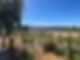 Grey Ridge 5.jpg