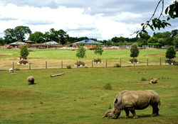 Wild Explorers Marwell