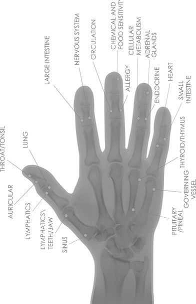 hand_edited_edited.png