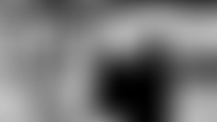 ❖ זן באומנות הקשת 