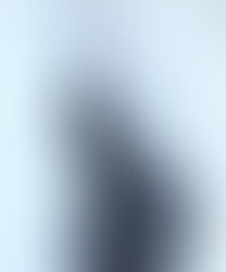 ❖ חיי הם אבן