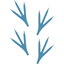 Track(1).png