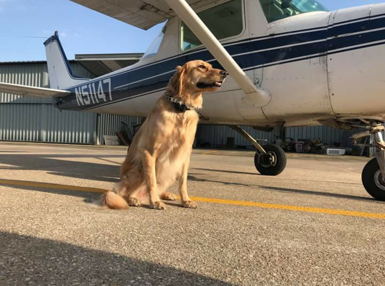 Tripp And His Airplane