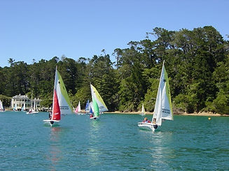 Kawau-camp-2003.jpg