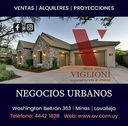 Oscar Viglioni Negocios Urbanos
