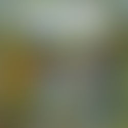 Energie delle Carte: Aprile 2024