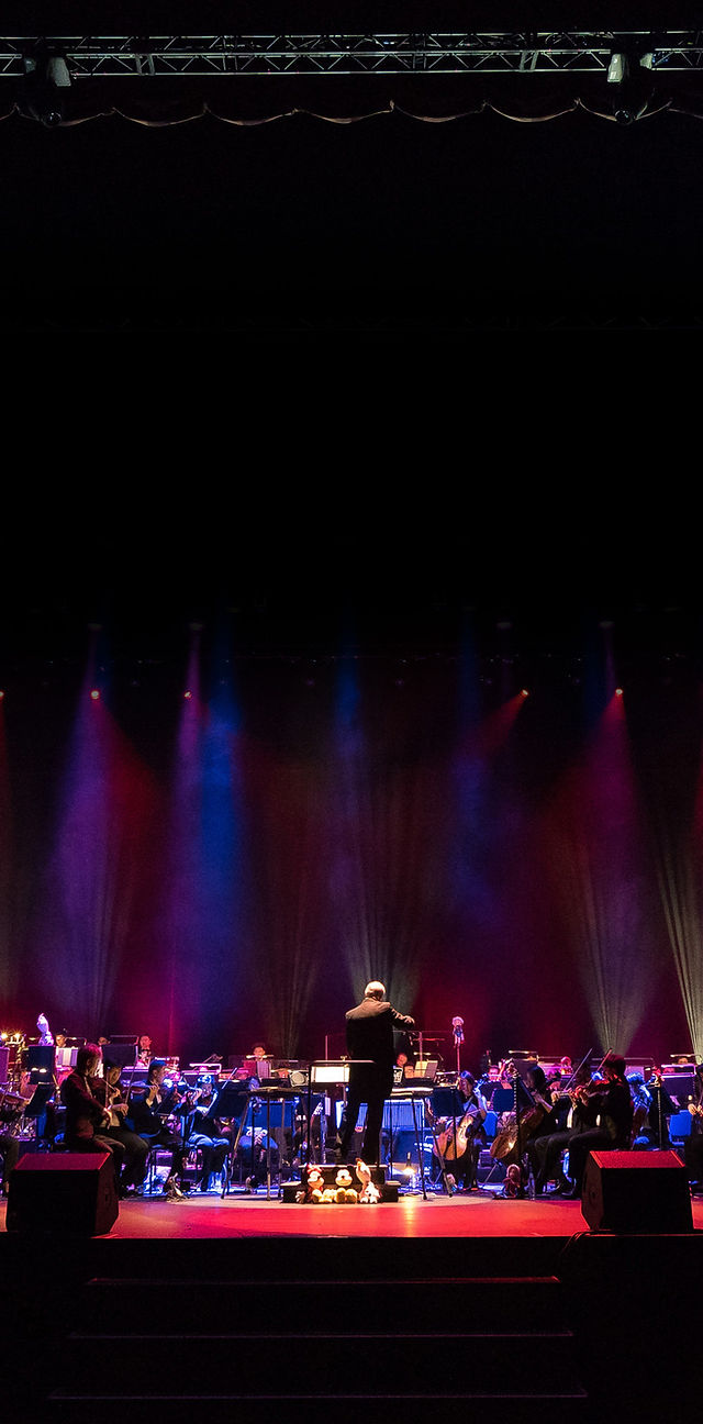 Metropolitan Festival Orchestra - Musical Bridges