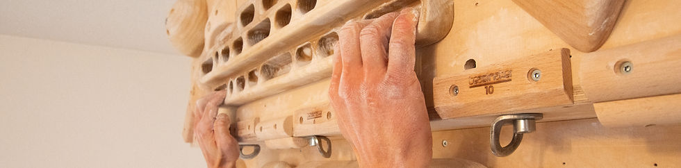 Fingerboard training