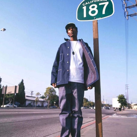 Snoop Dogg in 1990s Los Angeles: The Rise of a Cultural Icon and the Evolution of West Coast Hip-Hop