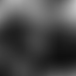 Iconic Hotels that Harmonized with Musical Greats: A Melodic Journey through Los Angeles