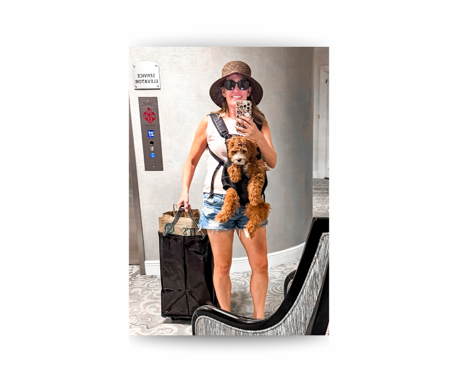 Person in mirror selfie wearing a hat and sunglasses, holding a dog in a carrier. Elevator buttons on the wall, text "Service Elevator."