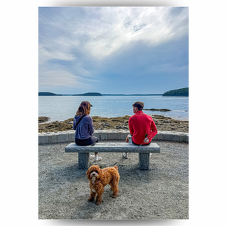 Two people sit on a seaside bench facing calm water under a cloudy sky, with a fluffy brown dog standing in front.