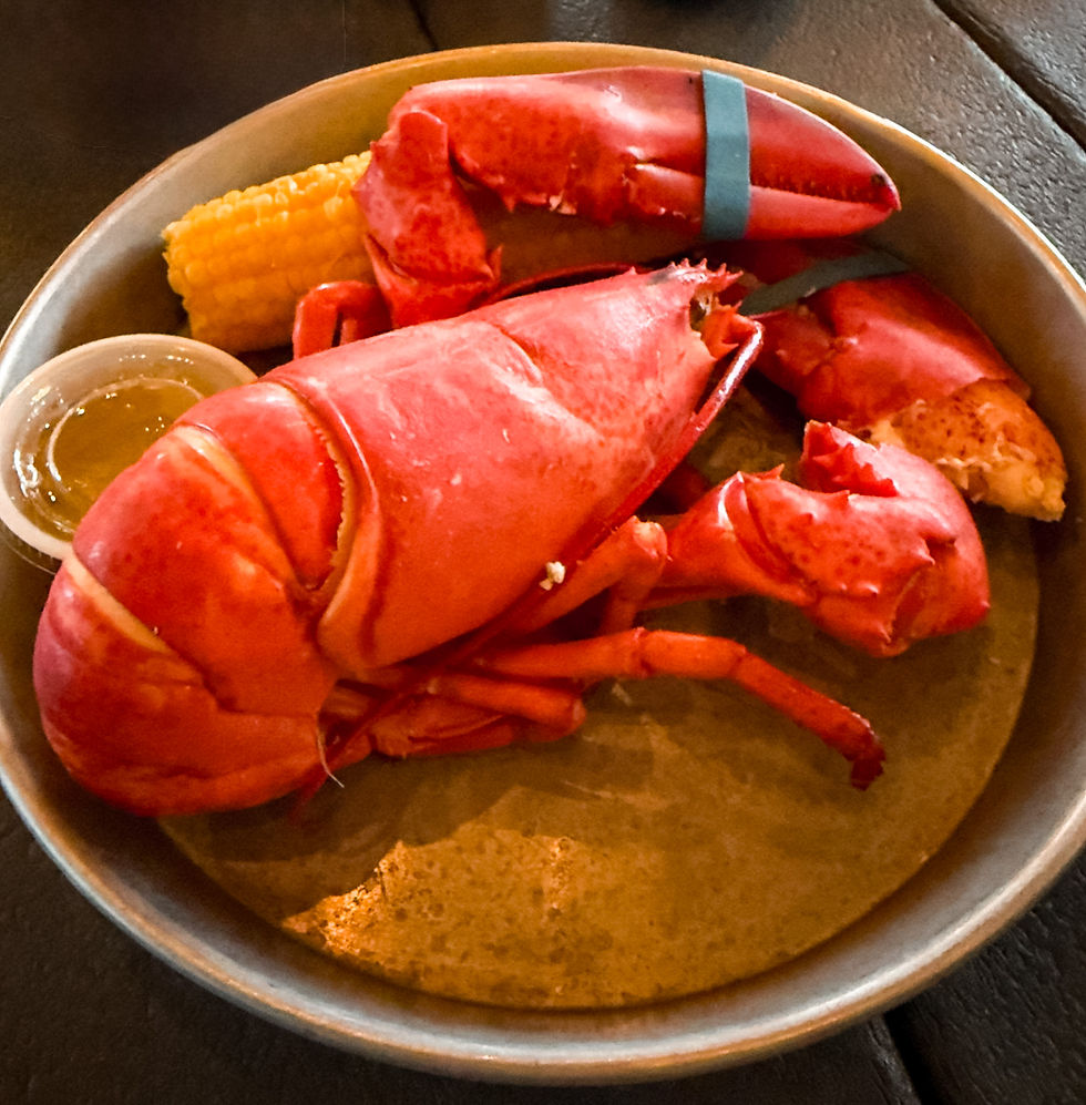 The Best Lobster in Bar Harbor: Why Everyone Told Us to Drive to Thurston's