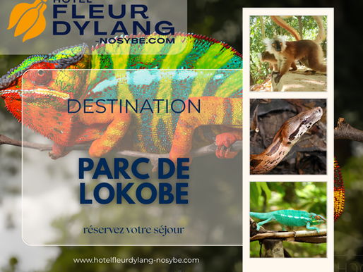 Parc de National de Lokobe