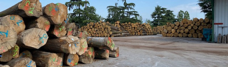 Giorgio Marin Hardwoods - Eur Beech and Oak.jpg