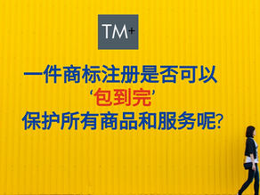 尼斯分类 - 一件商标注册就足够了吗?