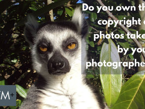 Do you own the copyright of the photos?