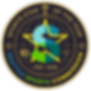 SSY90-Logo.png