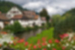 Black Forest, Germany shutterstock_62781592 (2).jpg