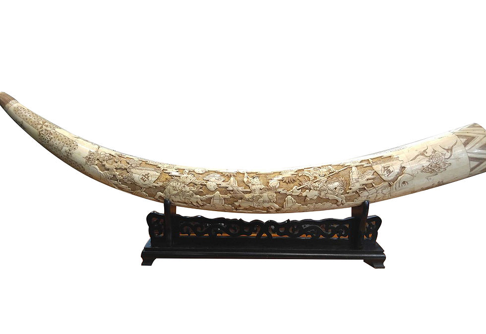 ELEPHANT BONE 2