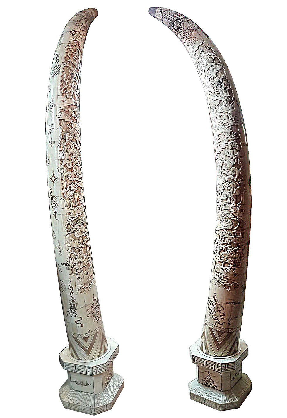 ELEPHANT BONE