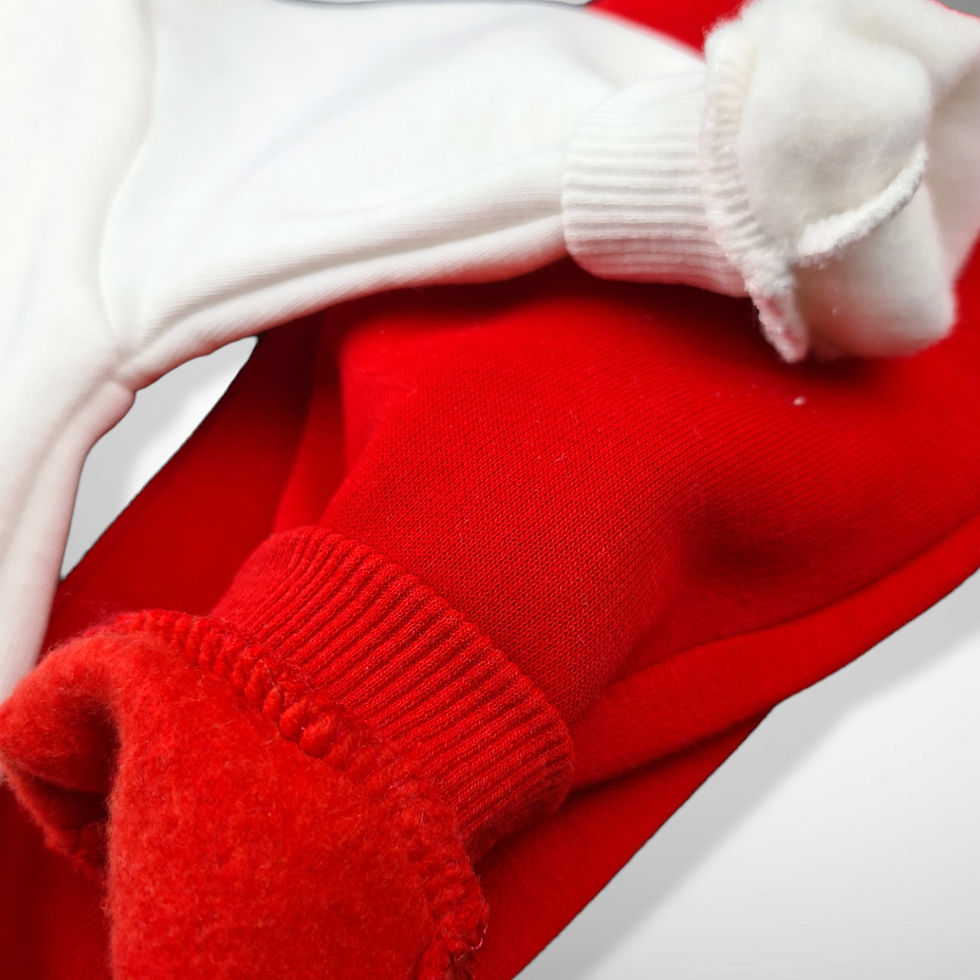 Thumbnail: Warme Set "Winter Red Teddy Bear"