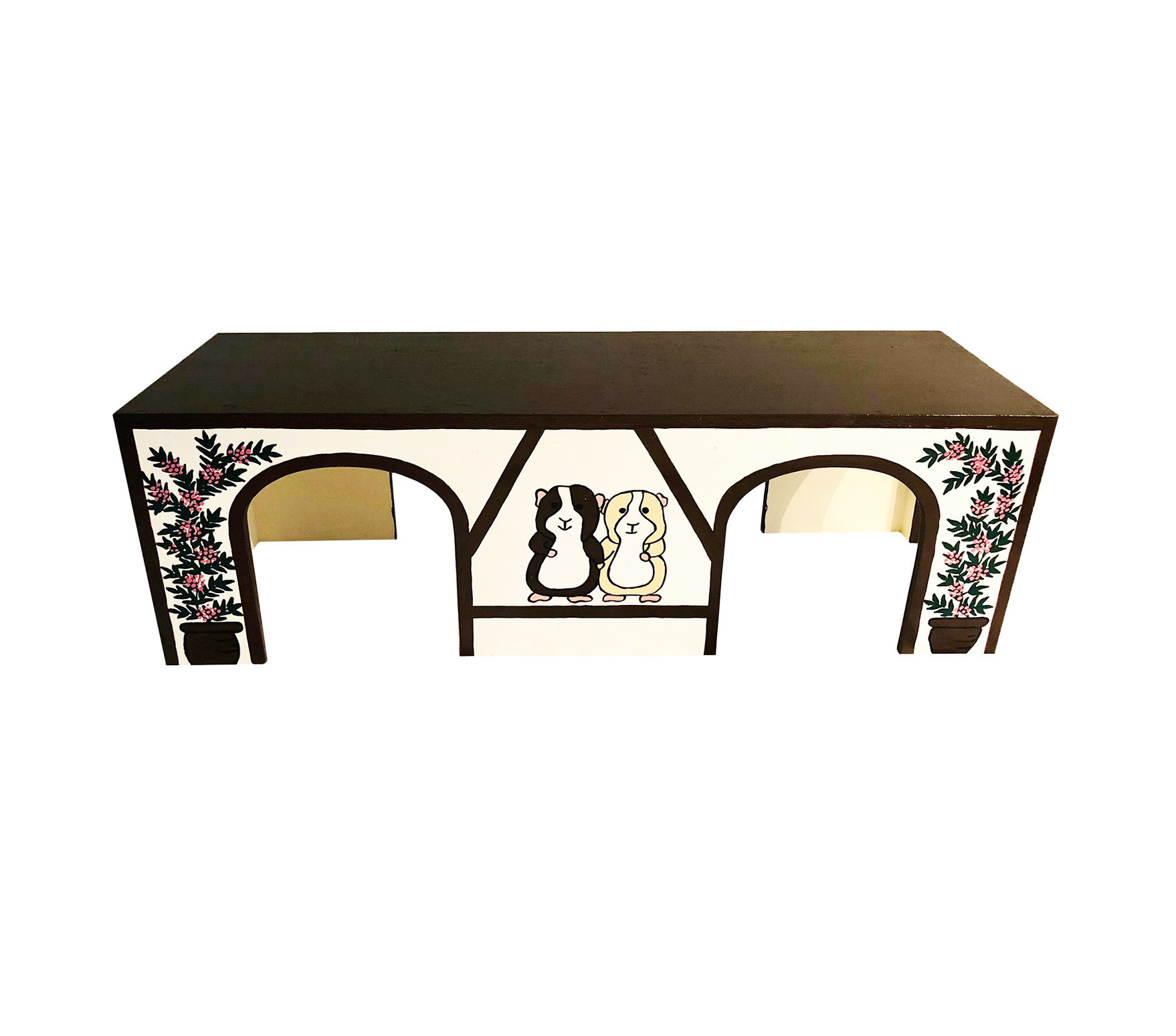 Nager-Tunnel Meerschweinchen