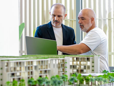 Project Advisory Services