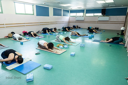 תמונה של WhatsApp 2025-09-11 בשעה 13.07.31_920e7128.jpg